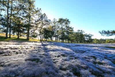 Da Lat 02