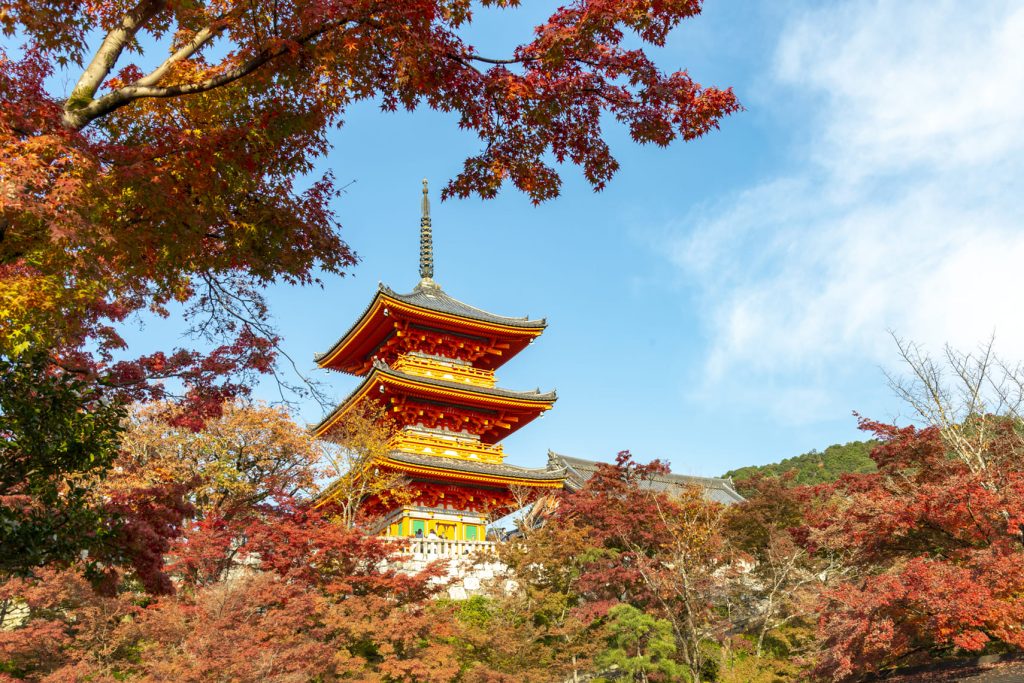 Kiyomizu dera mua thu