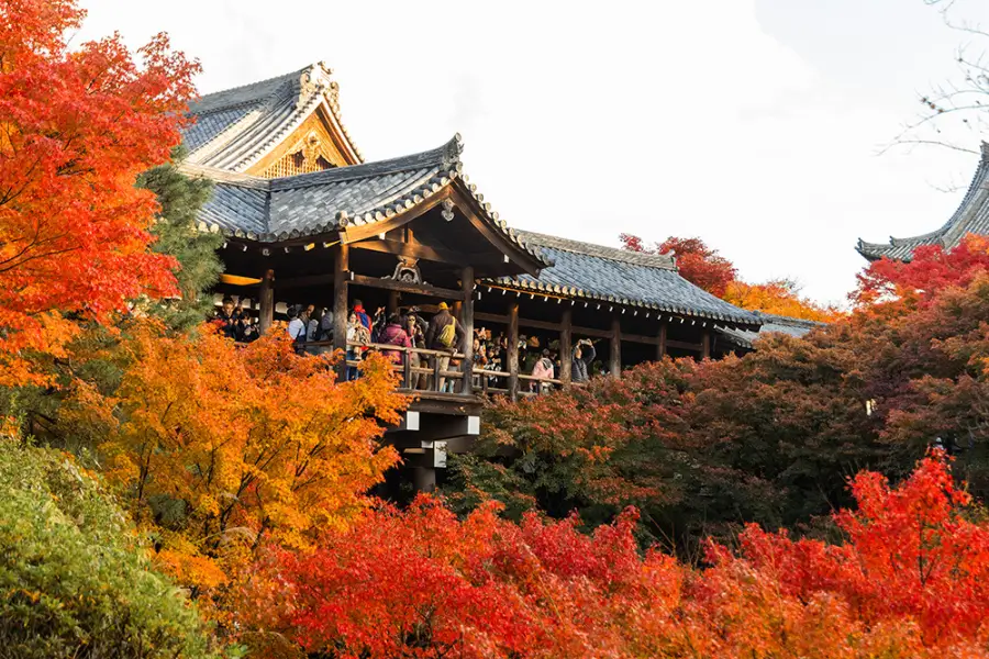 Tofuku ji Ngoi Den Noi Tieng Voi Mua La Do Dep Nhat Kyoto